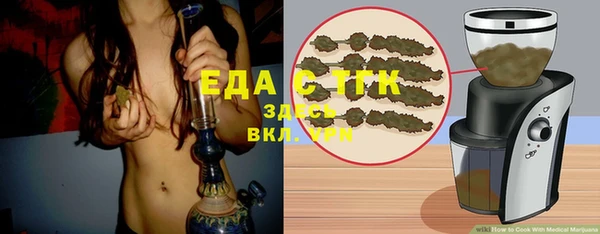 индика Медногорск