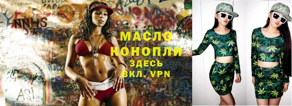 индика Медногорск