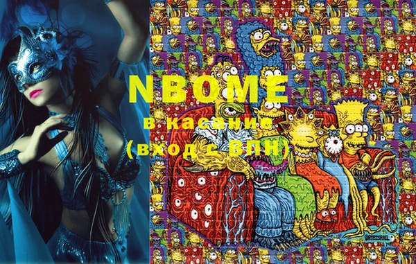 индика Медногорск