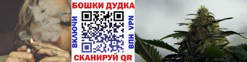 Бошки Шишки SATIVA & INDICA  Купить закладки  Находка 